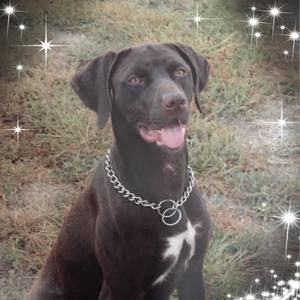 Meet your Posher, Darlene